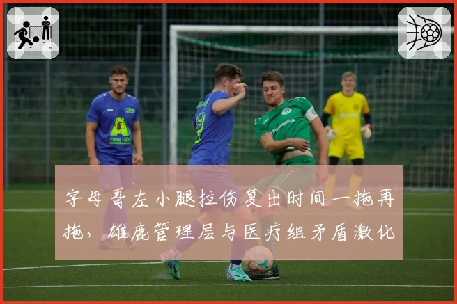 字母哥左小腿拉伤复出时间一拖再拖，雄鹿管理层与医疗组矛盾激化