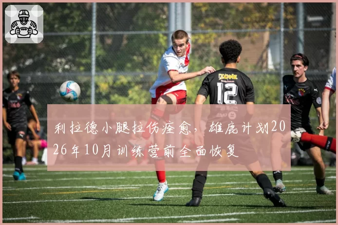 利拉德小腿拉伤痊愈，雄鹿计划2026年10月训练营前全面恢复