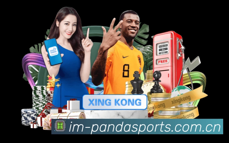 全球访问热力分布图